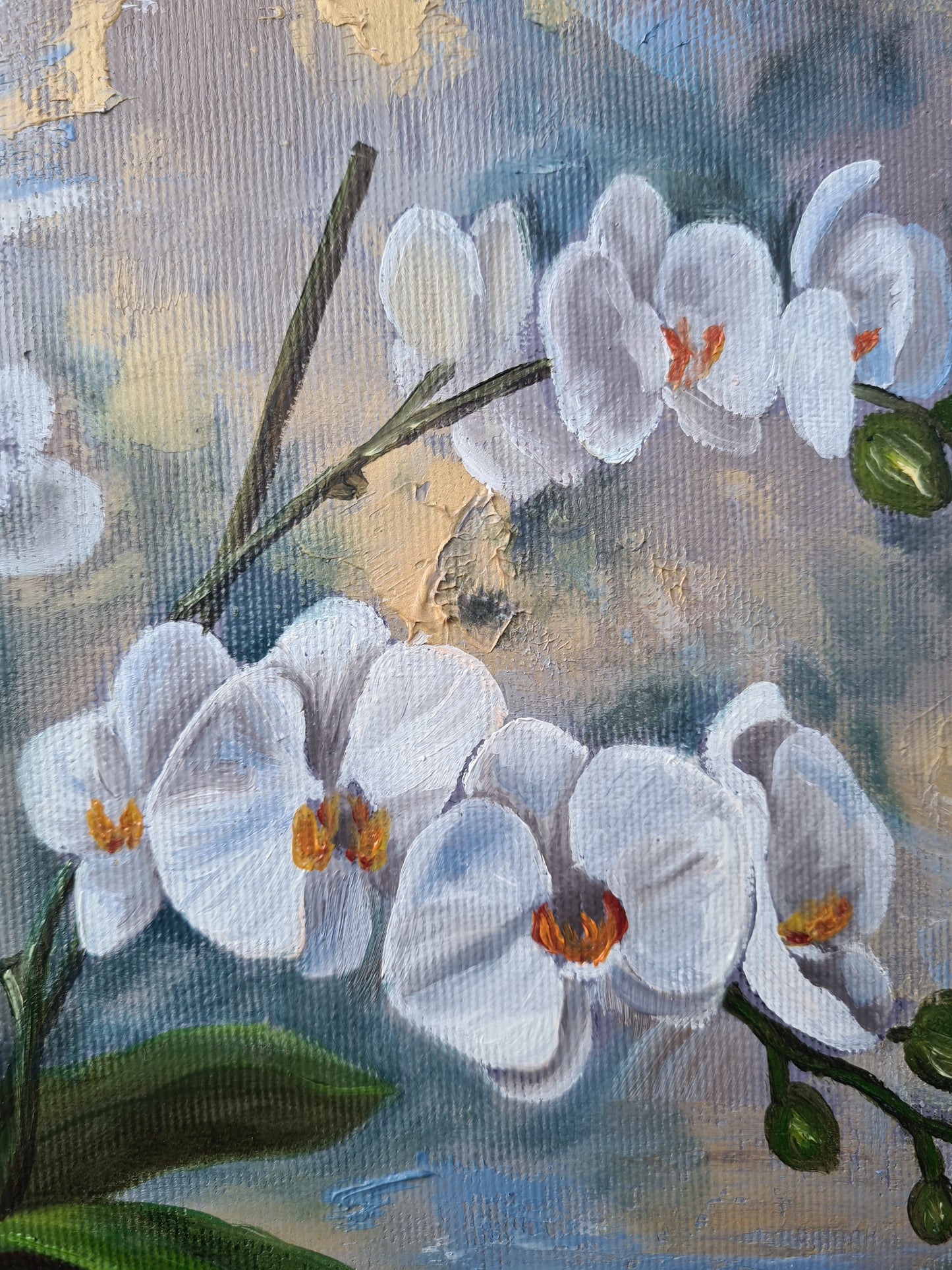 Elegant white orchide, 50x50cm original oilpainting by Daniella Szabò-Telek
